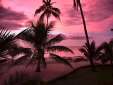 Fiji99_08.jpg