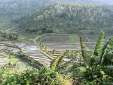 Bali00_67.jpg