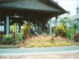 Borneo95_002.jpg