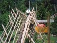 Borneo95_011.jpg
