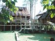 Borneo95_012.jpg