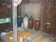 Borneo95_014.jpg