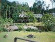 Borneo95_021.jpg