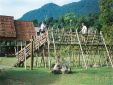 Borneo95_022.jpg