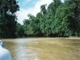 Borneo95_024.jpg
