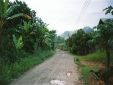 Borneo95_058.jpg