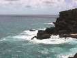 Hawaii99_14.jpg