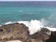 Hawaii99_15.jpg