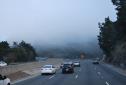 MuirWoods_2016_004.JPG