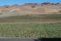NapaValley_2016_018.JPG