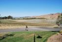NapaValley_2016_021.JPG
