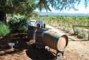 NapaValley_2016_024.JPG